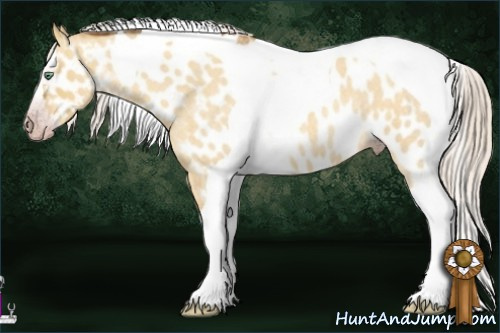 Horse Color:Gray Silver Amber Cream Champagne Roan Dun Splash Tobiano Near Leopard Rabicano