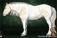 Horse Color:Gray Silver Amber Cream Champagne Roan Dun Splash Tobiano Near Leopard Rabicano