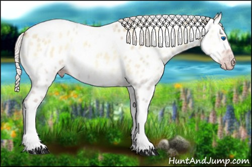 Horse Color:Gray Silver Amber Cream Champagne Roan Onyx Splash Tobiano Frame Appaloosa Rabicano 