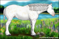 Horse Color:Gray Silver Amber Cream Champagne Roan Onyx Splash Tobiano Frame Near Leopard Rabicano