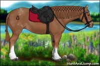 Horse Color:White Spotted Chestnut Sabino
