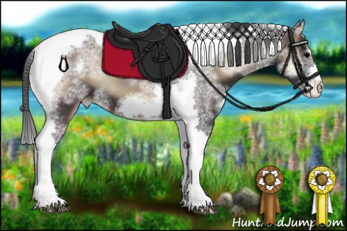 Horse Color:White Spotted Blue Onyx Splash Tobiano Frame Appaloosa 