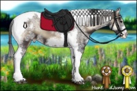 Horse Color:White Spotted Blue Onyx Splash Tobiano Frame Appaloosa 