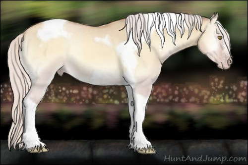 Horse Color:Gray Silver Amber Cream Champagne Roan Onyx Splash Tobiano Frame Varnish Rabicano