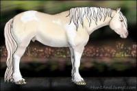 Horse Color:Gray Silver Amber Cream Champagne Roan Onyx Splash Tobiano Frame Varnish Rabicano 