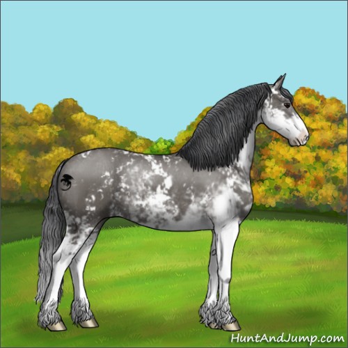Horse Color:Grullo Sabino Brindle 