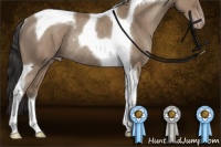 Horse Color:Classic Champagne Sabino Tobiano Rabicano 