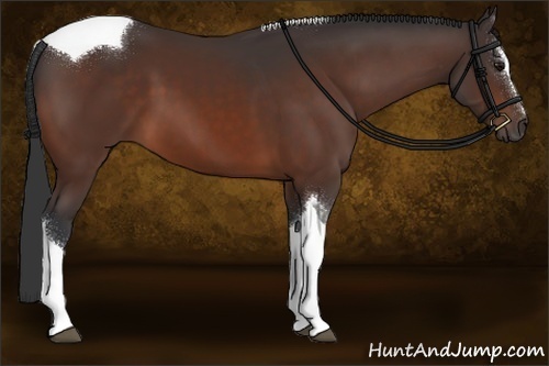Horse Color:Brown Sabino Tobiano