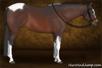 Horse Color:Brown Sabino Tobiano