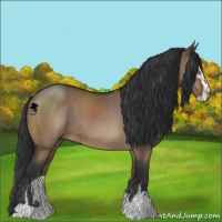 Horse Color:Bay Dun Sabino Brindle