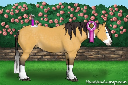 Horse Color:Buckskin Splash 