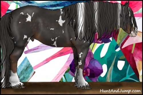 Horse Color:White Spotted Liver Chestnut Splash 