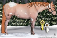 Horse Color:White Spotted Buckskin Pearl Varnish 
