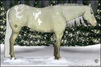 Horse Color:White Spotted Silver Buckskin Dun Appaloosa 