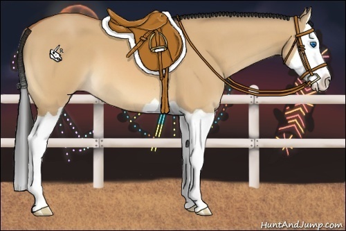 Horse Color:Bay Dun Splash 