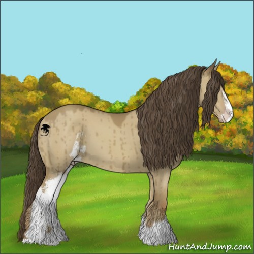 Horse Color:Classic Champagne Dun Sabino Brindle