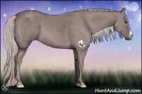 Horse Color:Platinum Chestnut