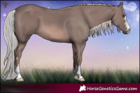 Horse Color:Platinum Chestnut