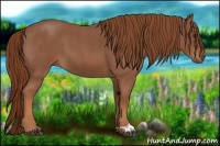 Horse Color:Red Roan