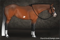 Horse Color:Brown Splash Frame Rabicano