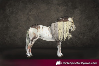 Horse Color:Silver Brown Onyx Rabicano and Painted Watercolor Red Roan Pearl Tobiano
