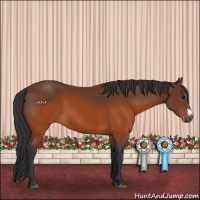 Horse Color:Brown Splash Frame Rabicano 