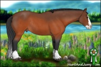 Horse Color:Brown Roan Splash Rabicano 