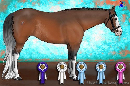 Horse Color:White Spotted Brown Splash Rabicano