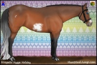 Horse Color:Brown Sabino Splash Frame Rabicano