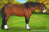 Horse Color:Brown Splash Frame Rabicano