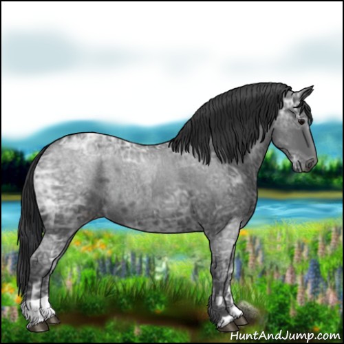 Horse Color:Blue Ice Roan  and Blue Ice Roan 