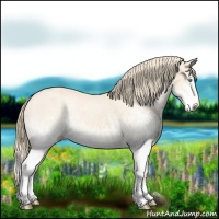 Horse Color:White Spotted Perlino Splash and White Spotted Perlino Splash