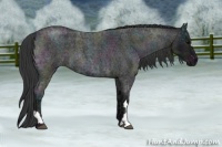 Horse Color:Midnight Blue Ice Roan and Midnight Blue Ice Roan