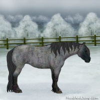 Horse Color:Midnight Blue Ice Roan and Midnight Blue Ice Roan