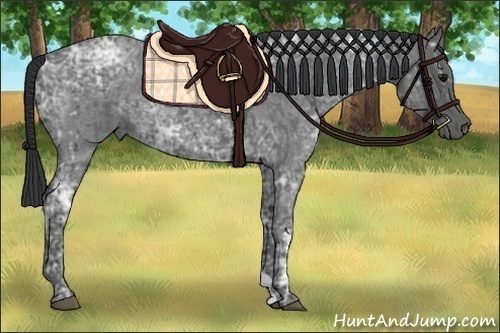 Horse Color:Blue Ice Roan  and Blue Ice Roan 