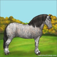 Horse Color:Blue Ice Roan Pearl  and Blue Ice Roan 