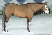 Horse Color:Bay Dun Splash 