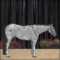 Horse Color:Blue Ice Roan  and Blue Ice Roan 