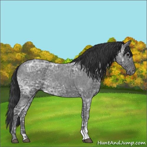 Horse Color:Blue Ice Roan  and Blue Ice Roan 