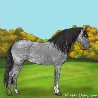 Horse Color:Blue Ice Roan  and Blue Ice Roan 
