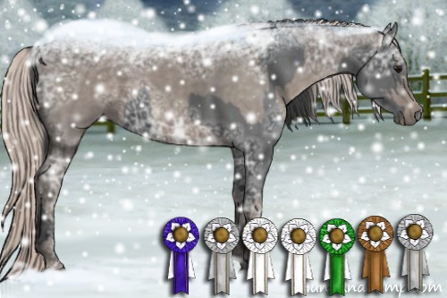 Horse Color:Blue Ice Roan  and Silver Blue Ice Roan 