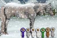 Horse Color:Blue Ice Roan  and Silver Blue Ice Roan 