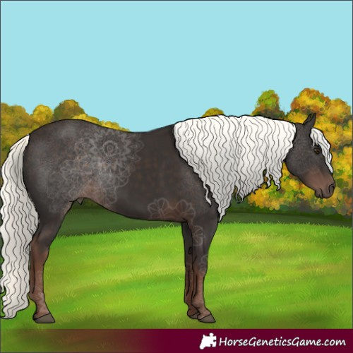 Horse Color:Liver Chestnut Mushroom 