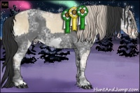 Horse Color:Silver Grullo Ice Roan Onyx  and Black Ice Frame 