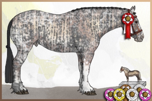 Horse Color:Bay Ice Roan Onyx  and Black Ice 