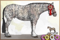 Horse Color:Bay Ice Roan Onyx  and Black Ice 