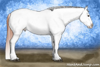 Horse Color:Bay Splash Tobiano Blanket and Bay Splash Tobiano Blanket