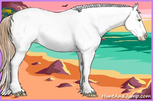 Horse Color:Gold Champagne Blanket