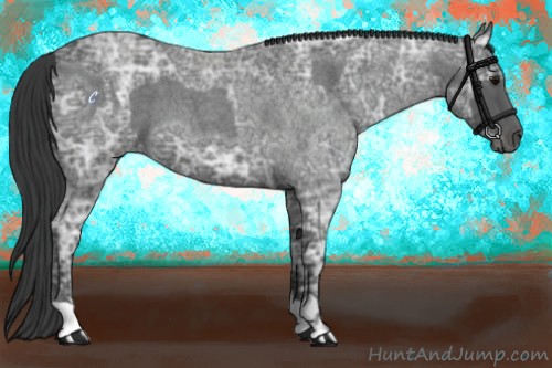 Horse Color:Blue Ice Roan  and Blue Ice Roan 