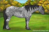 Horse Color:Blue Ice Roan  and Blue Ice Roan 